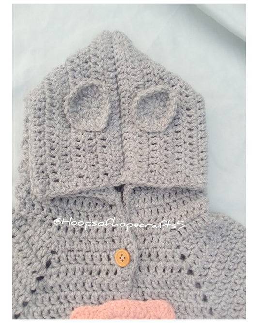Bear hoodie set