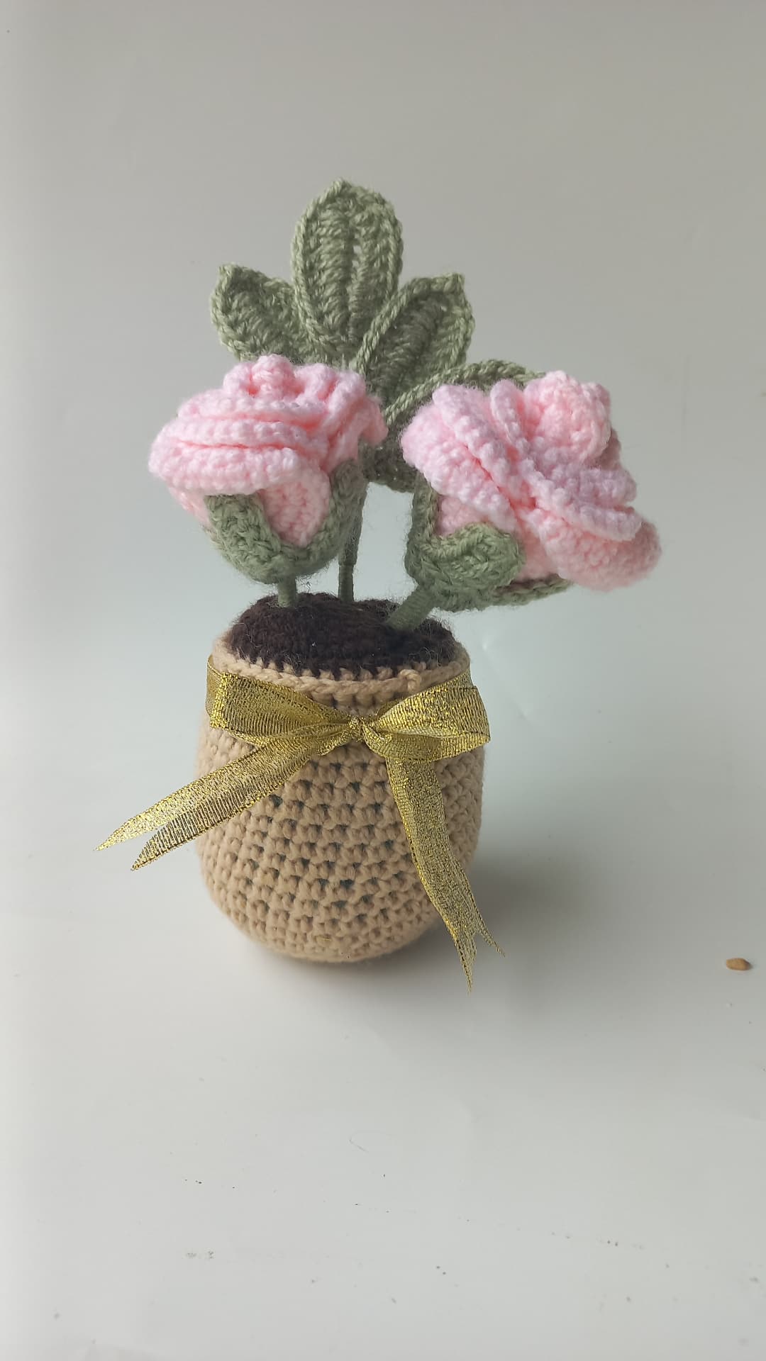 Blush Rose pot