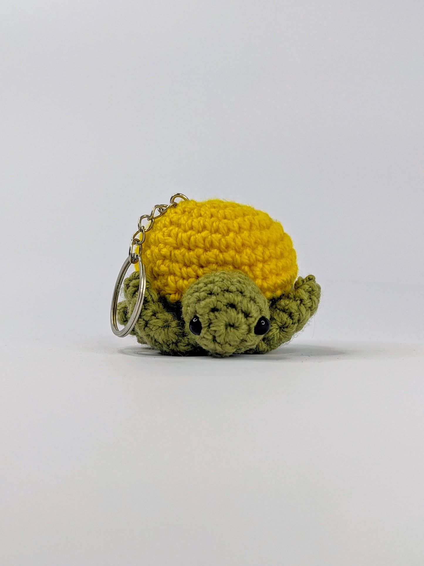 Oliver the turtle