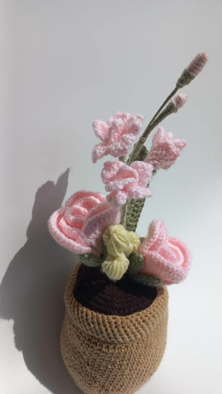 Blush Delight Pot