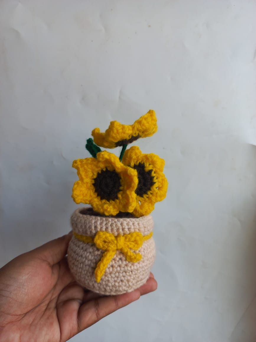 Skin Sunshine Pot