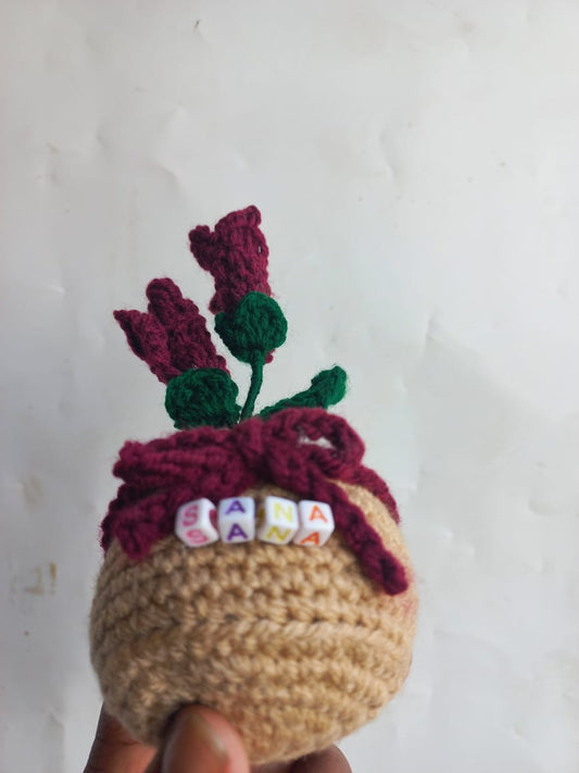 Ruby Fressia Pot