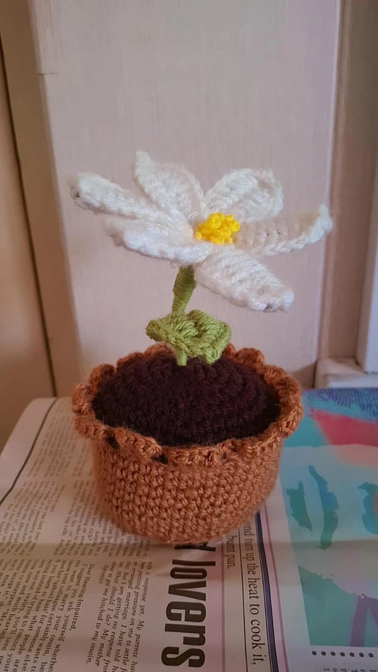 Mini pots