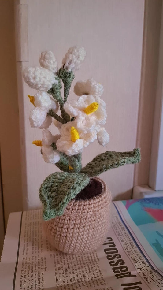 Mini pots