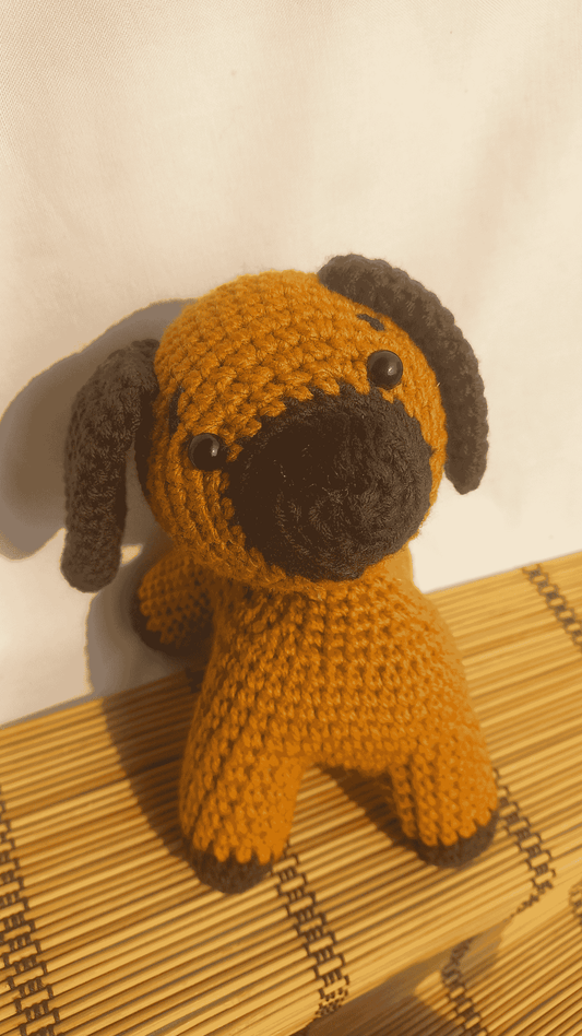 Moti Dog