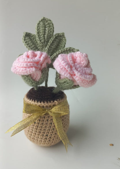 Blush Rose pot
