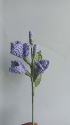 Fressia stem
