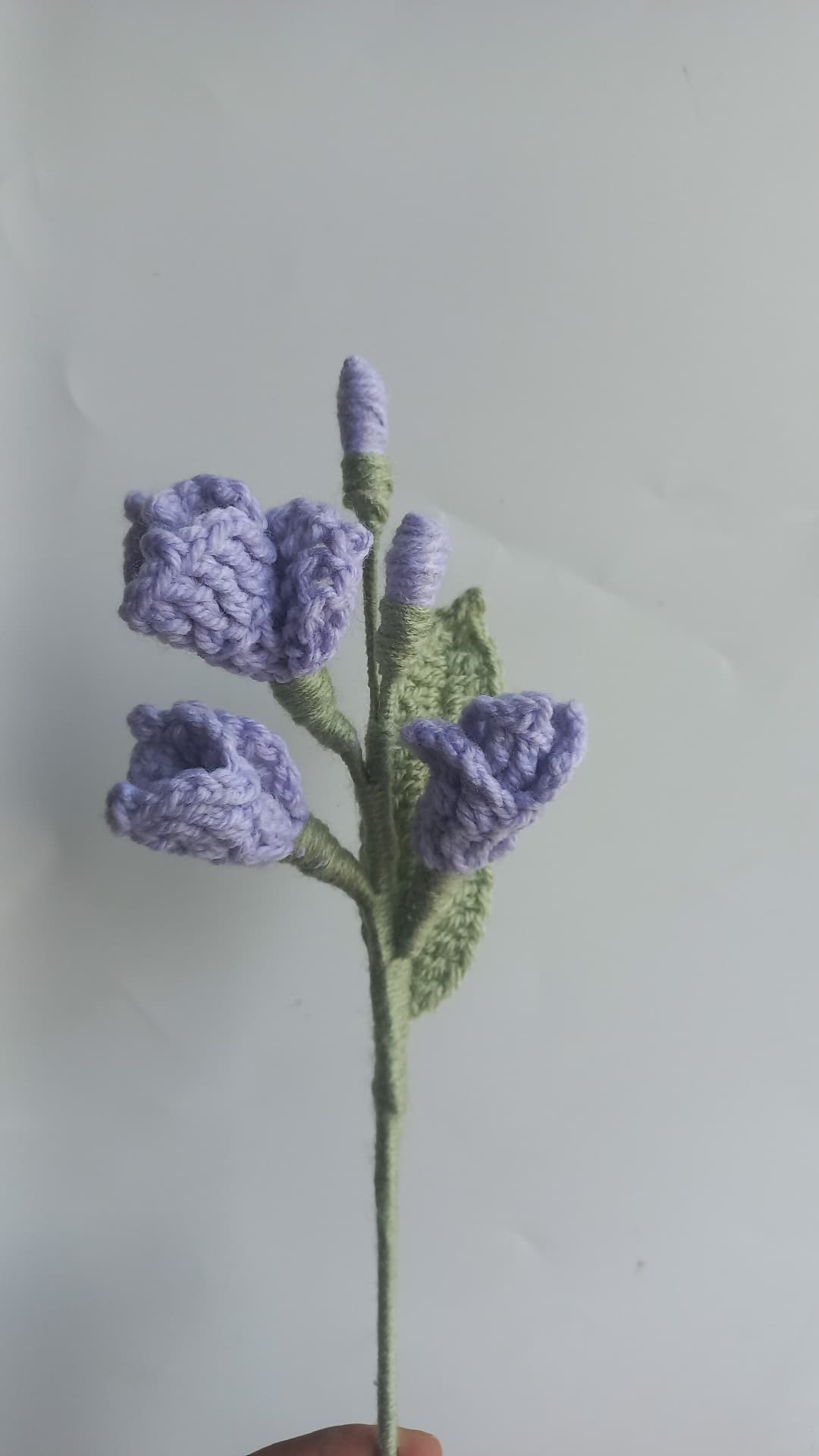 Fressia stem