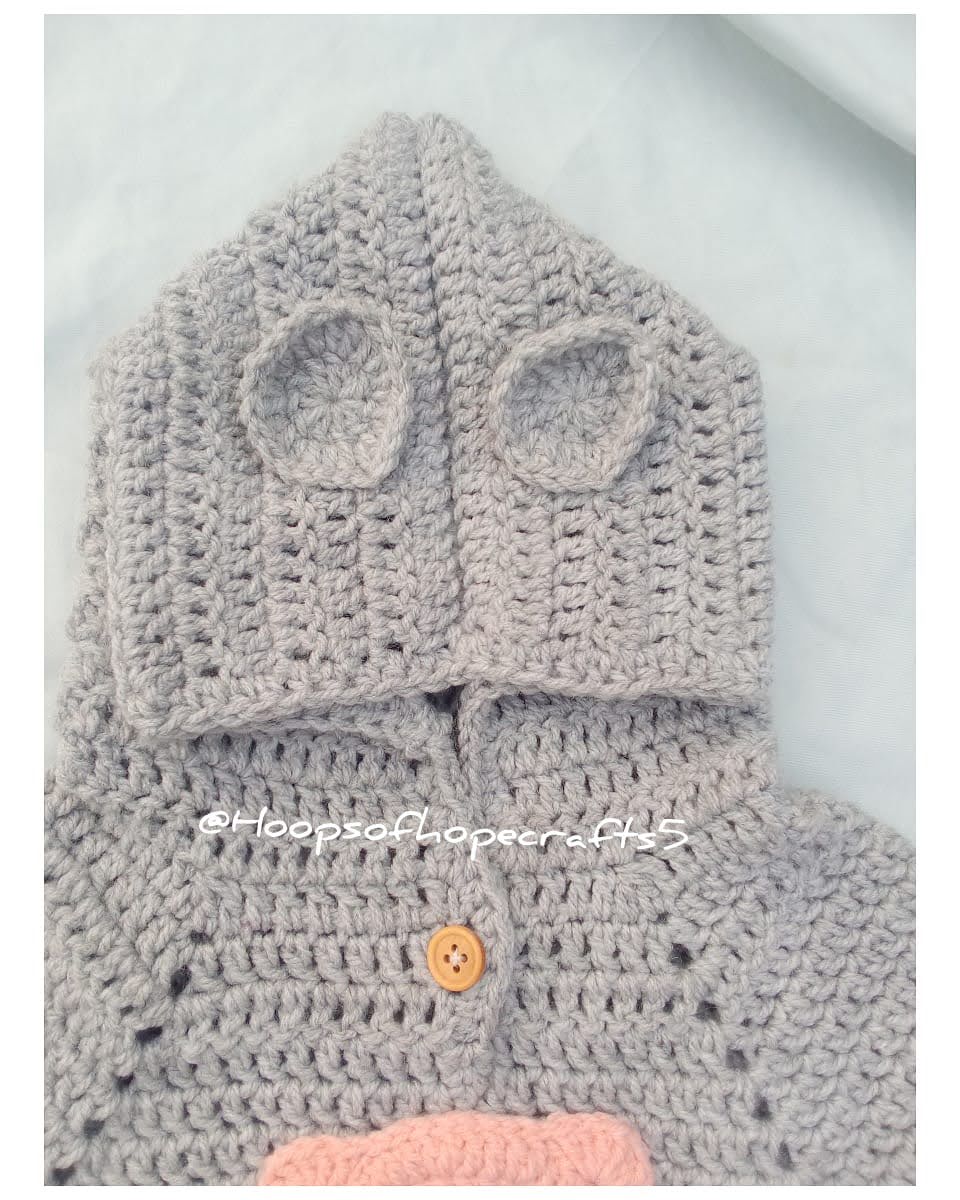 Bear hoodie set