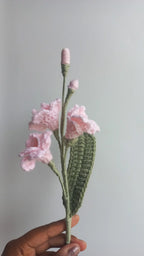 Fressia stem