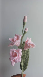 Fressia stem