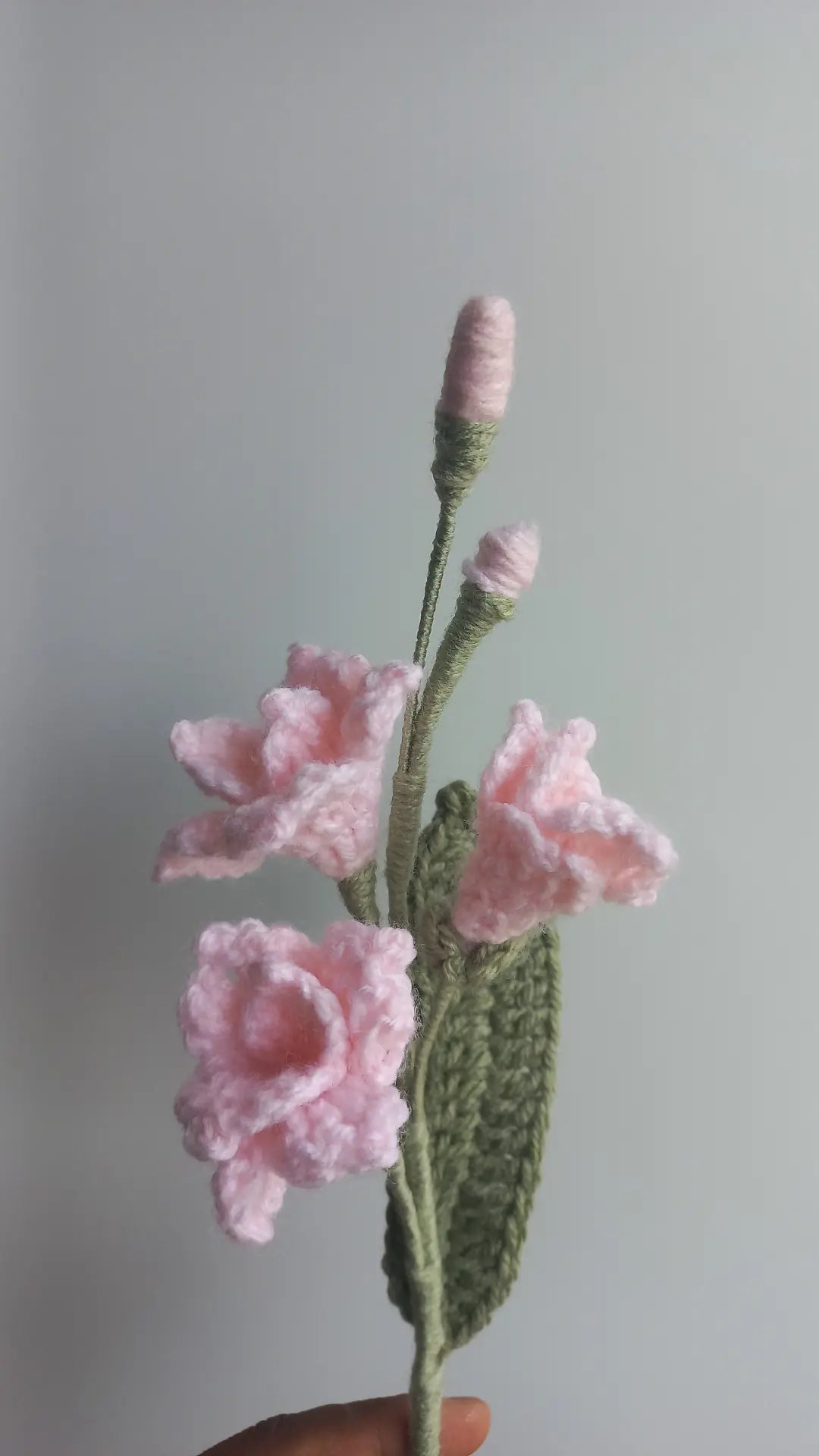 Fressia stem
