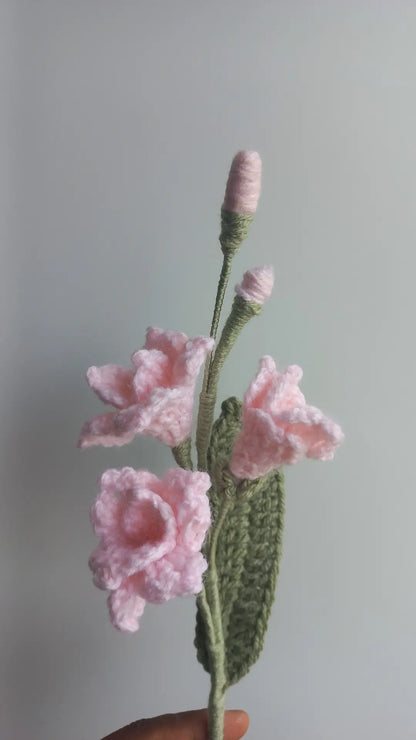 Fressia stem