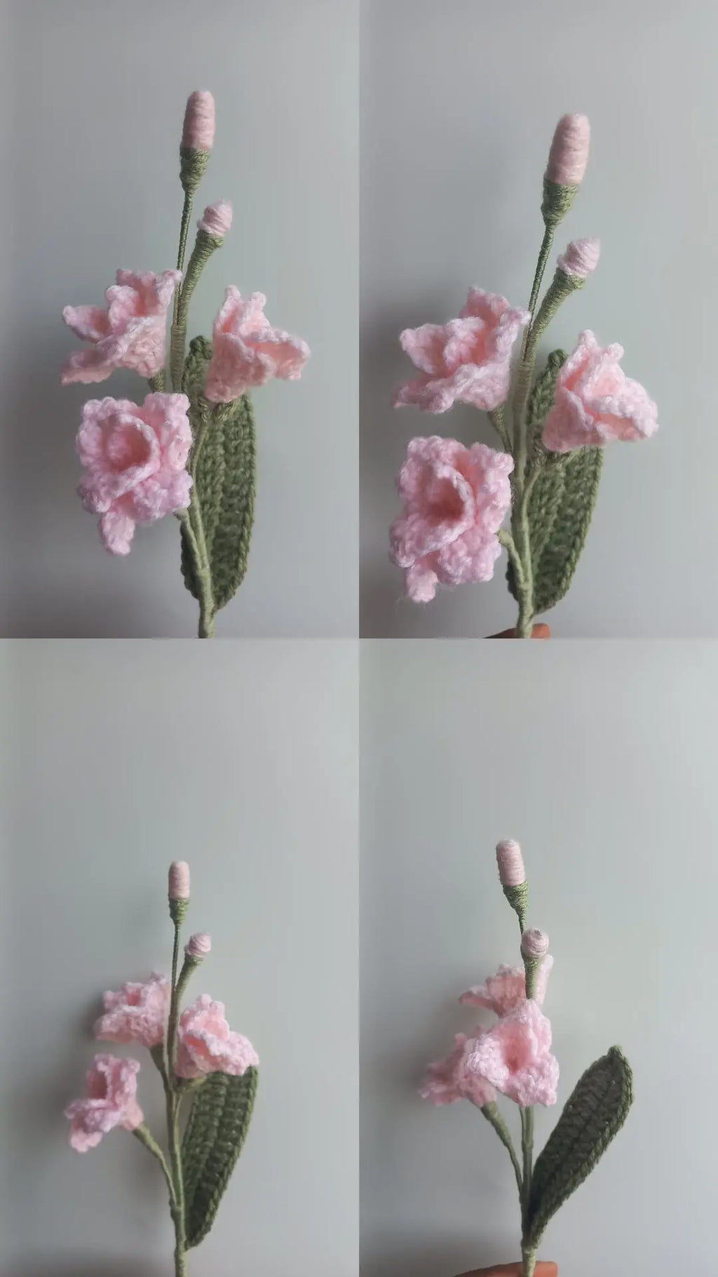 Fressia stem