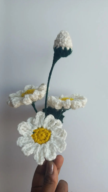 daisy bunch