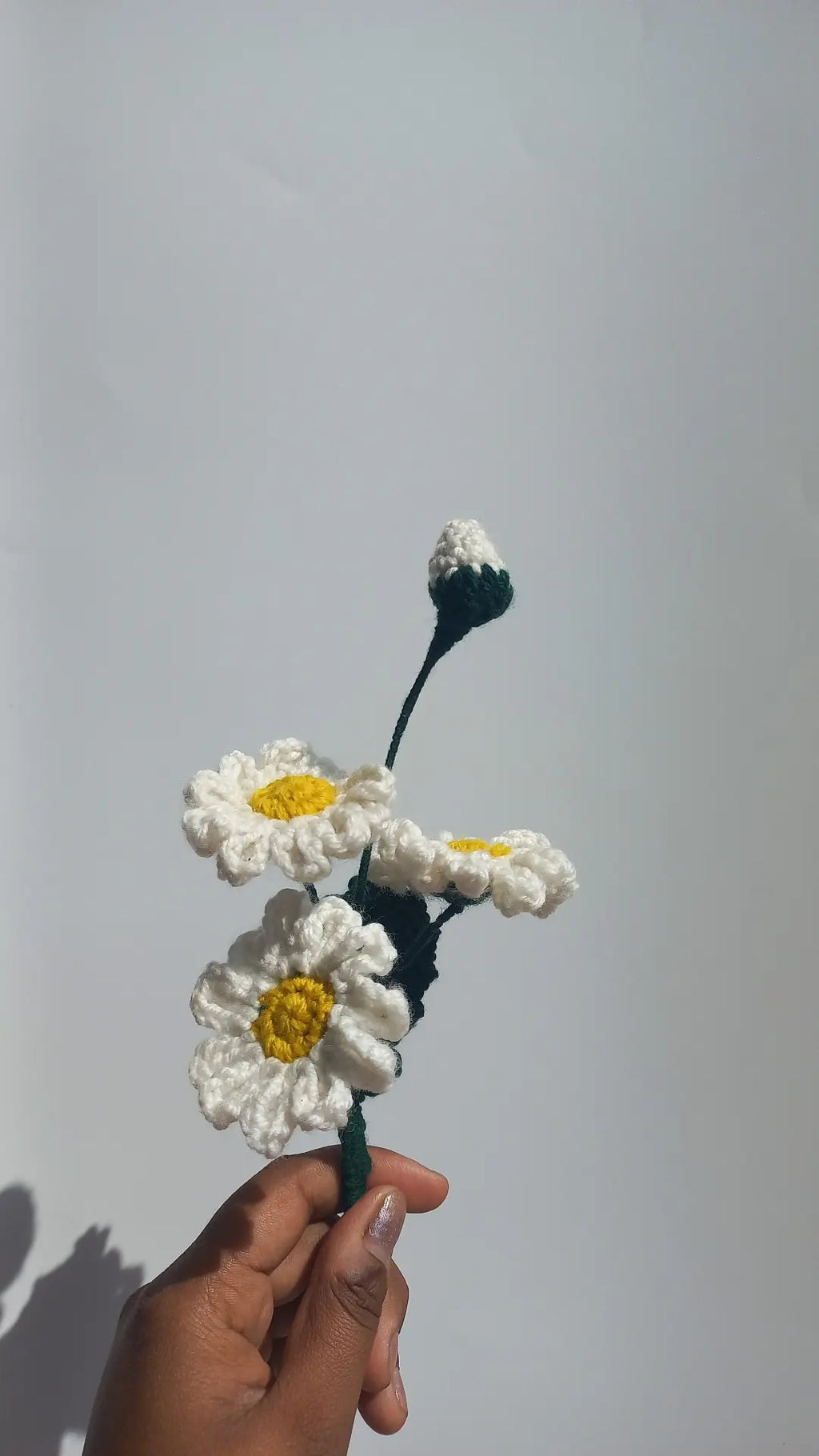 daisy bunch