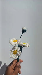 daisy bunch