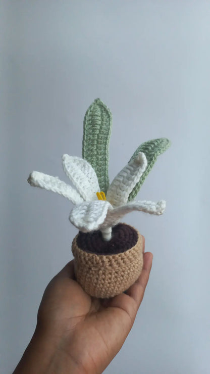 Water Lilly pot