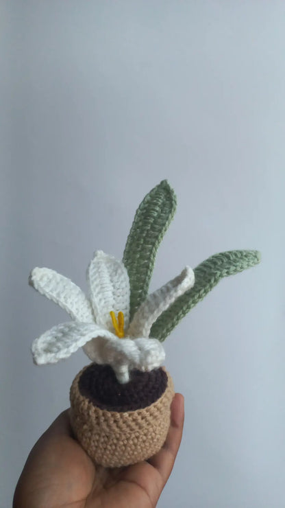 Water Lilly pot