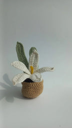 Water Lilly pot