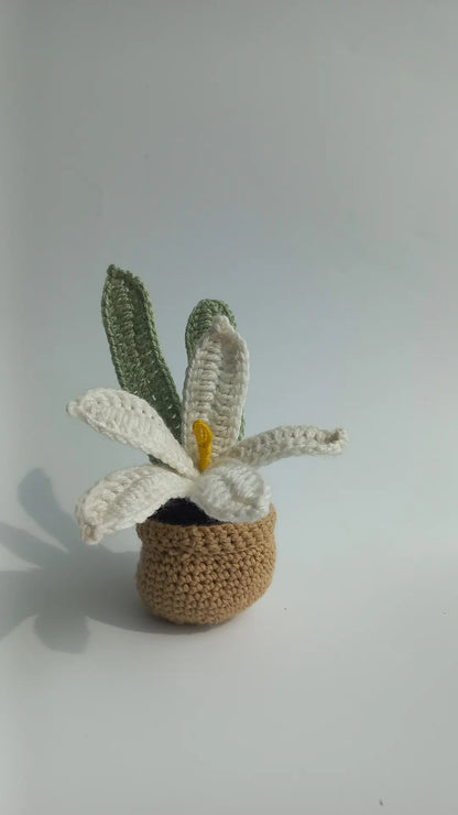 Water Lilly pot
