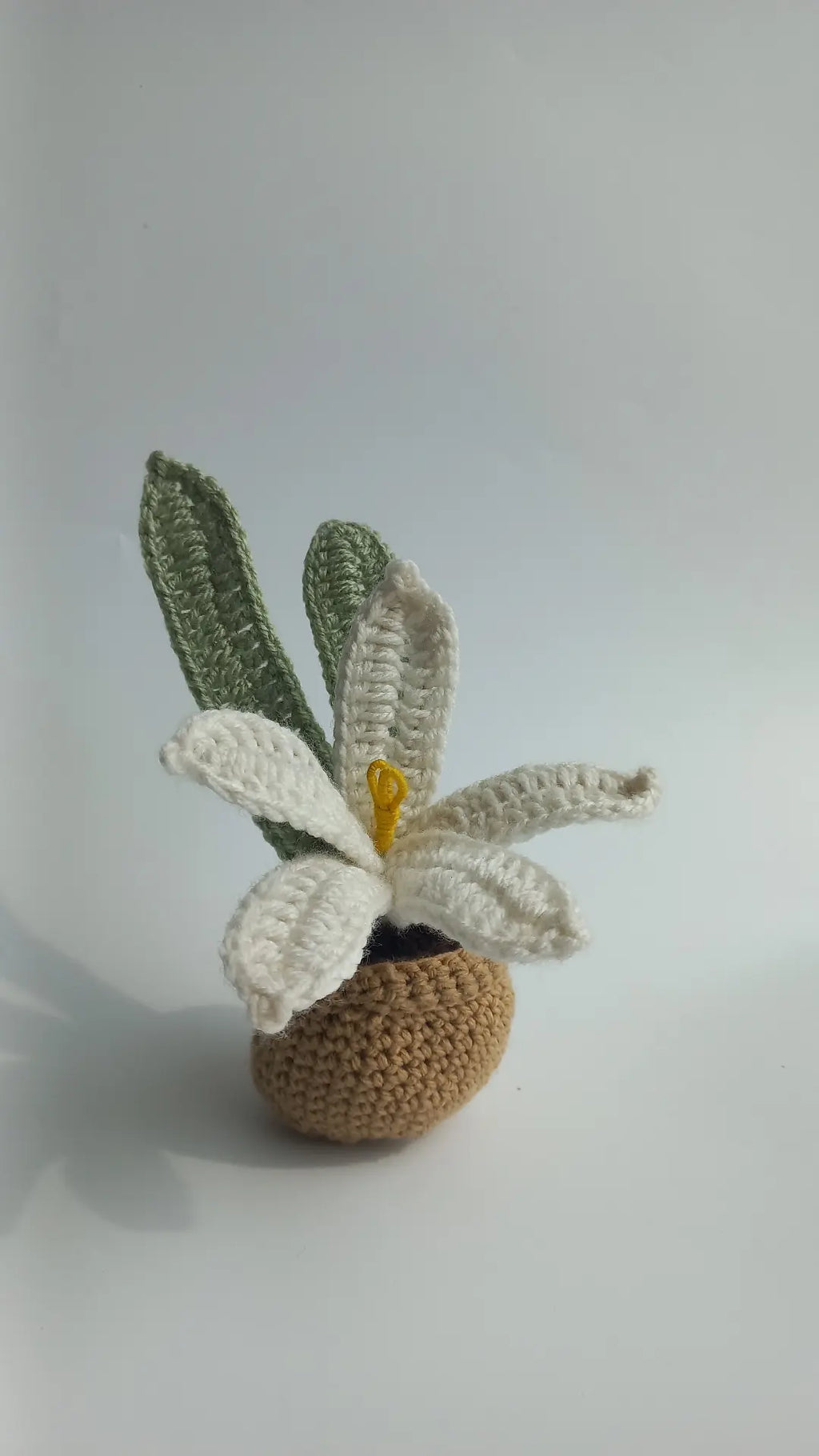 Water Lilly pot