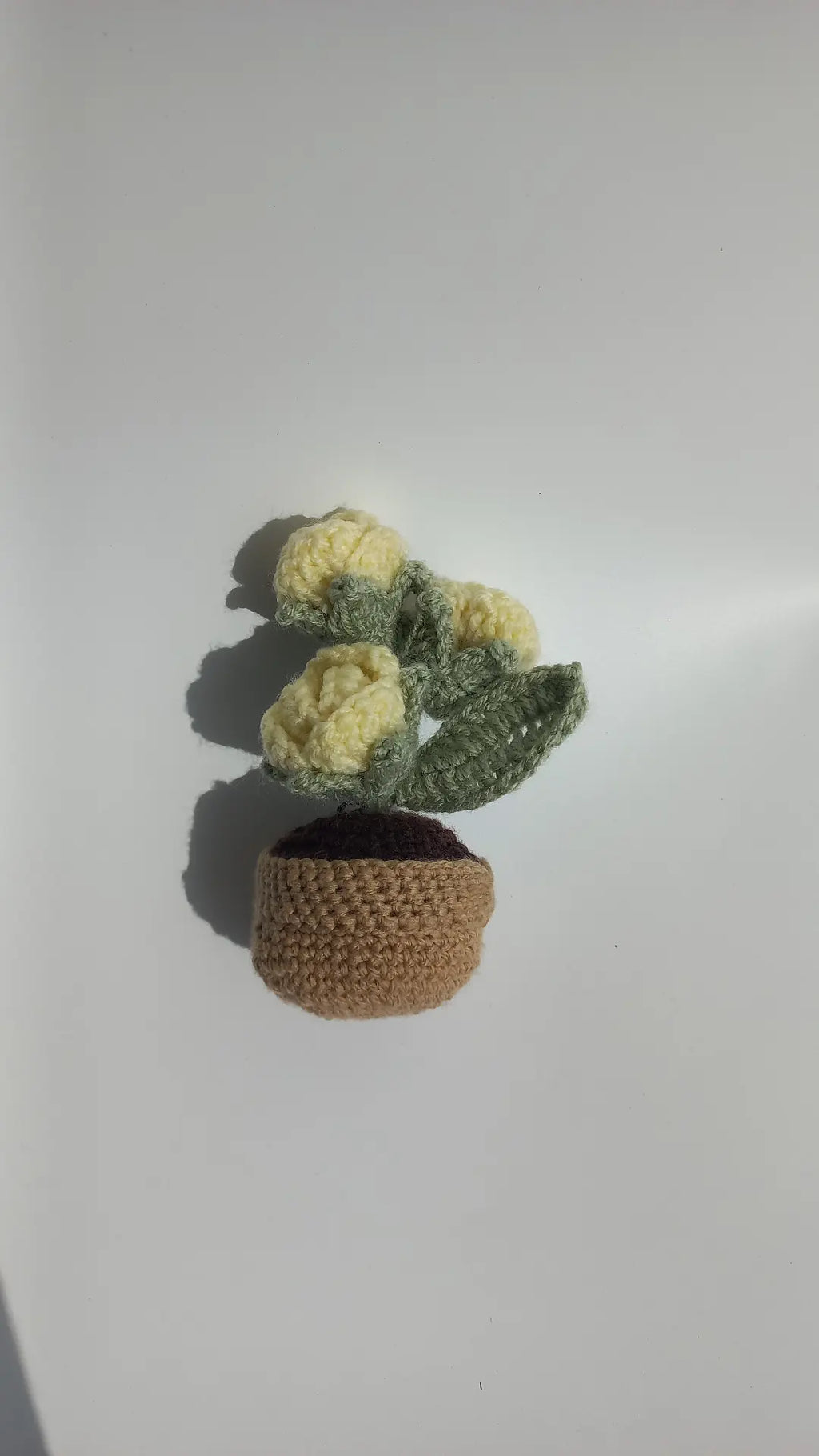 Lemon rose pot