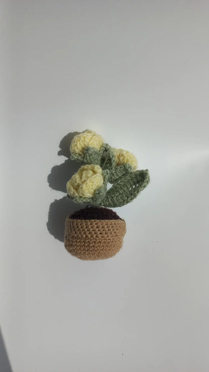 Lemon rose pot