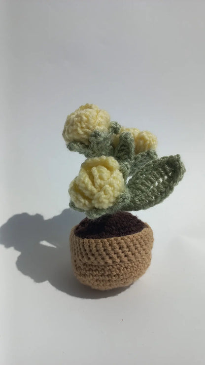 Lemon rose pot