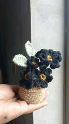 Forget me, not pot