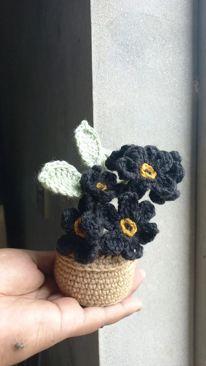 Forget me, not pot