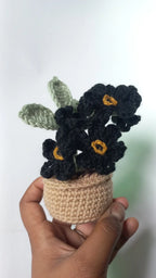 Forget me, not pot