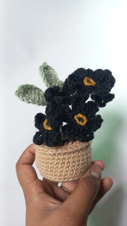 Forget me, not pot