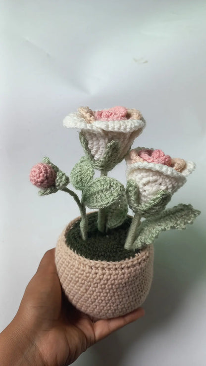 Pestal rose pot