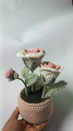 Pestal rose pot