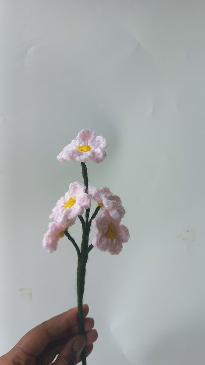 Forget me not bunch