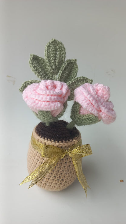 Blush Rose pot