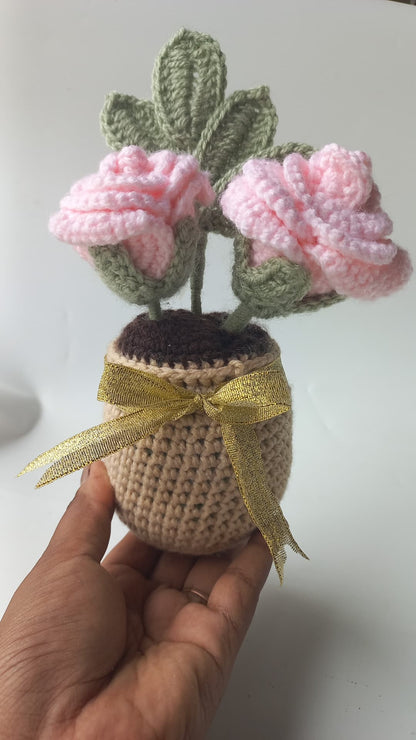 Blush Rose pot