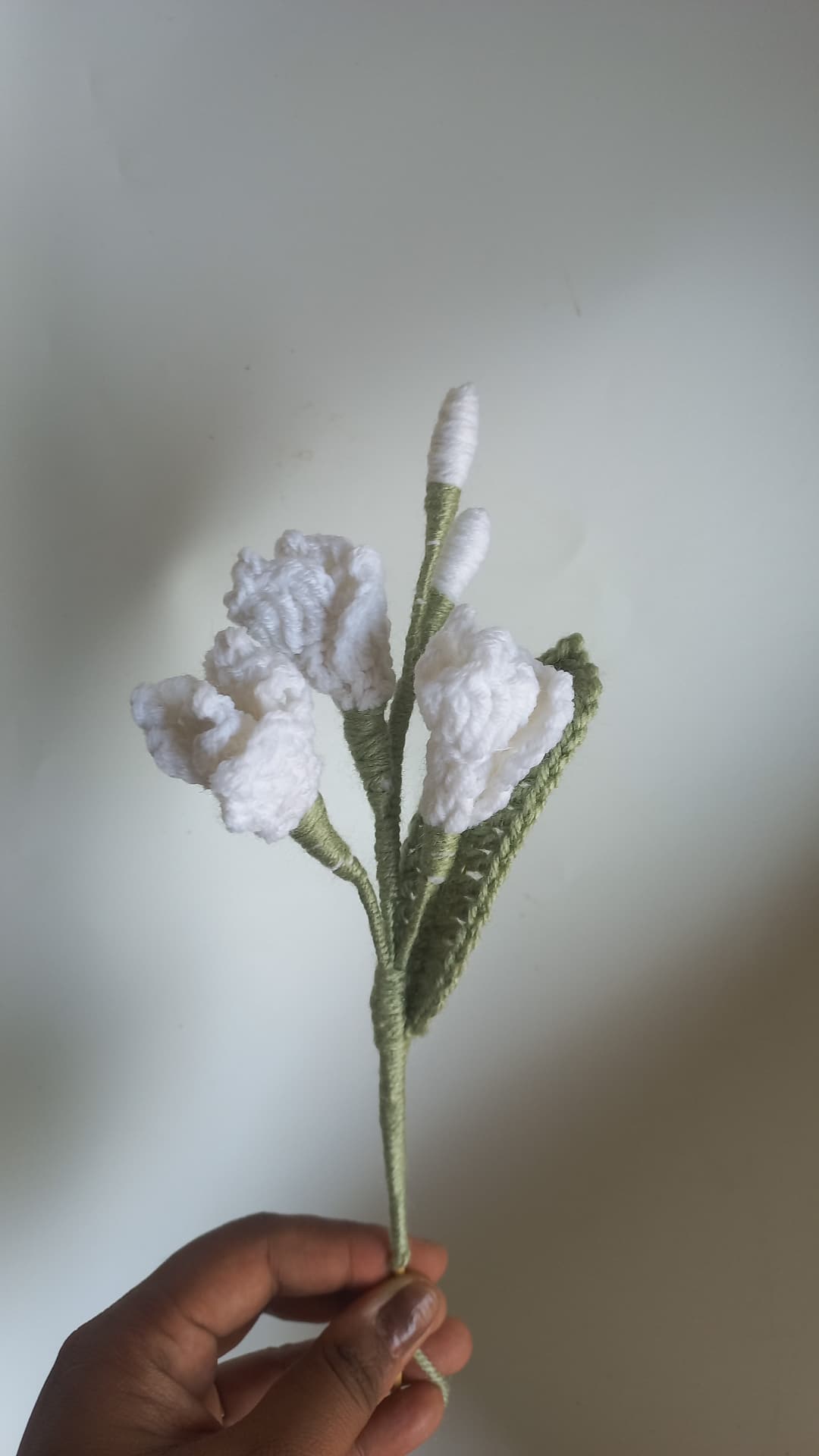 Fressia stem