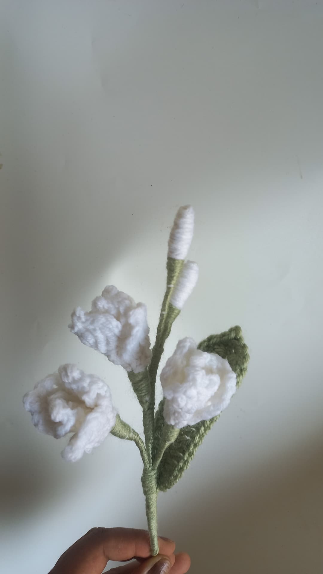 Fressia stem