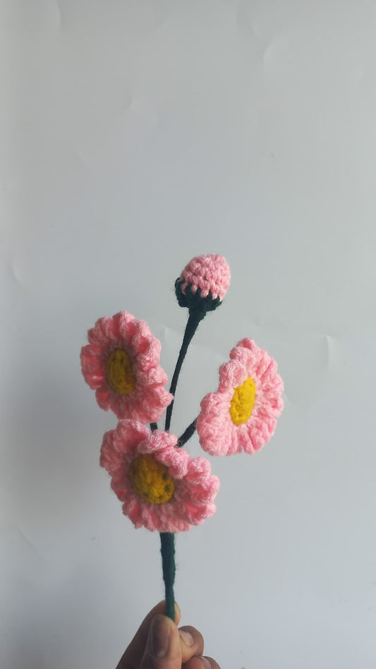 daisy bunch