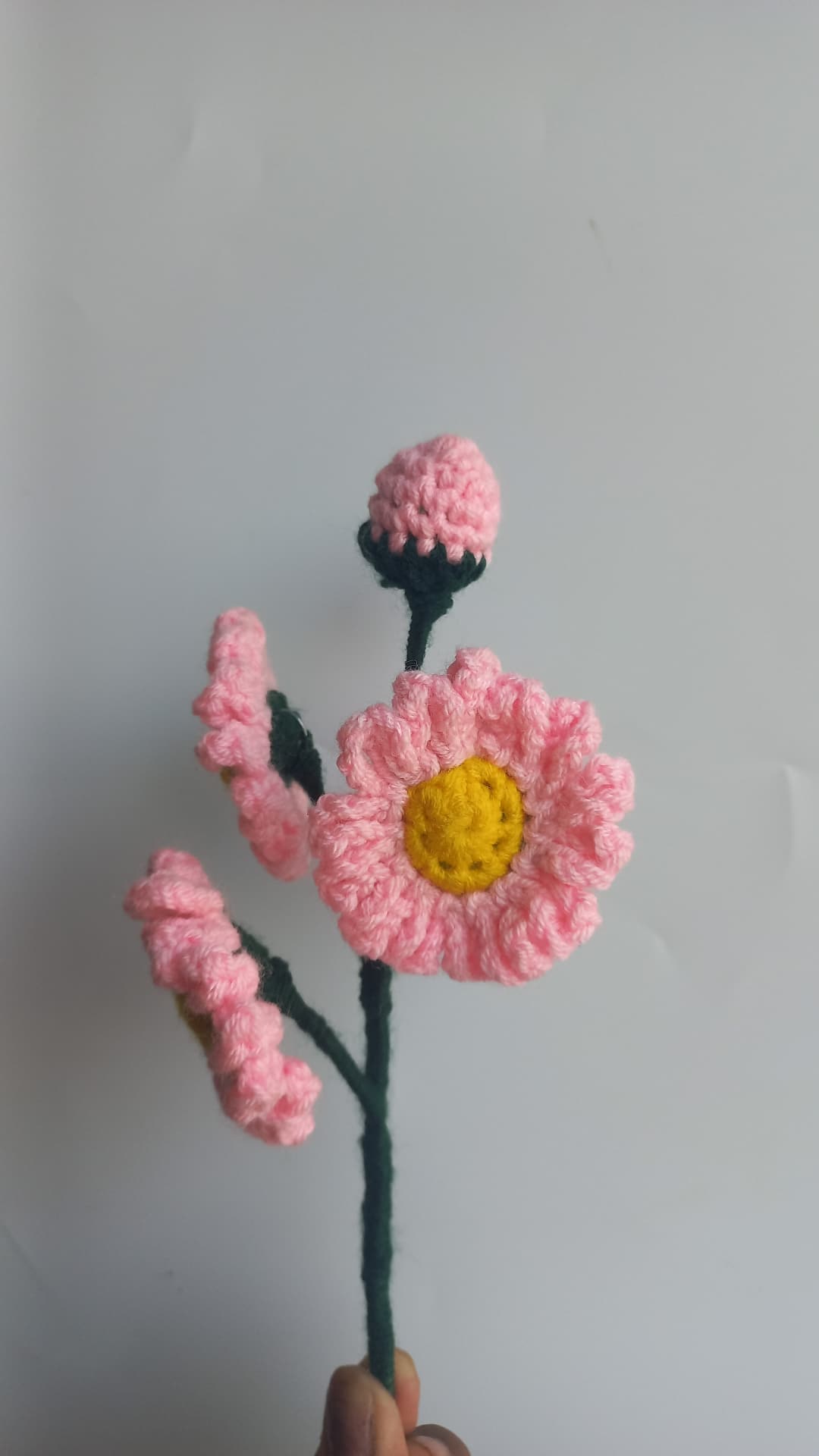 daisy bunch