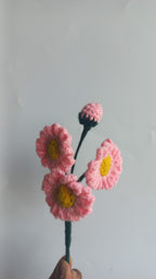 daisy bunch