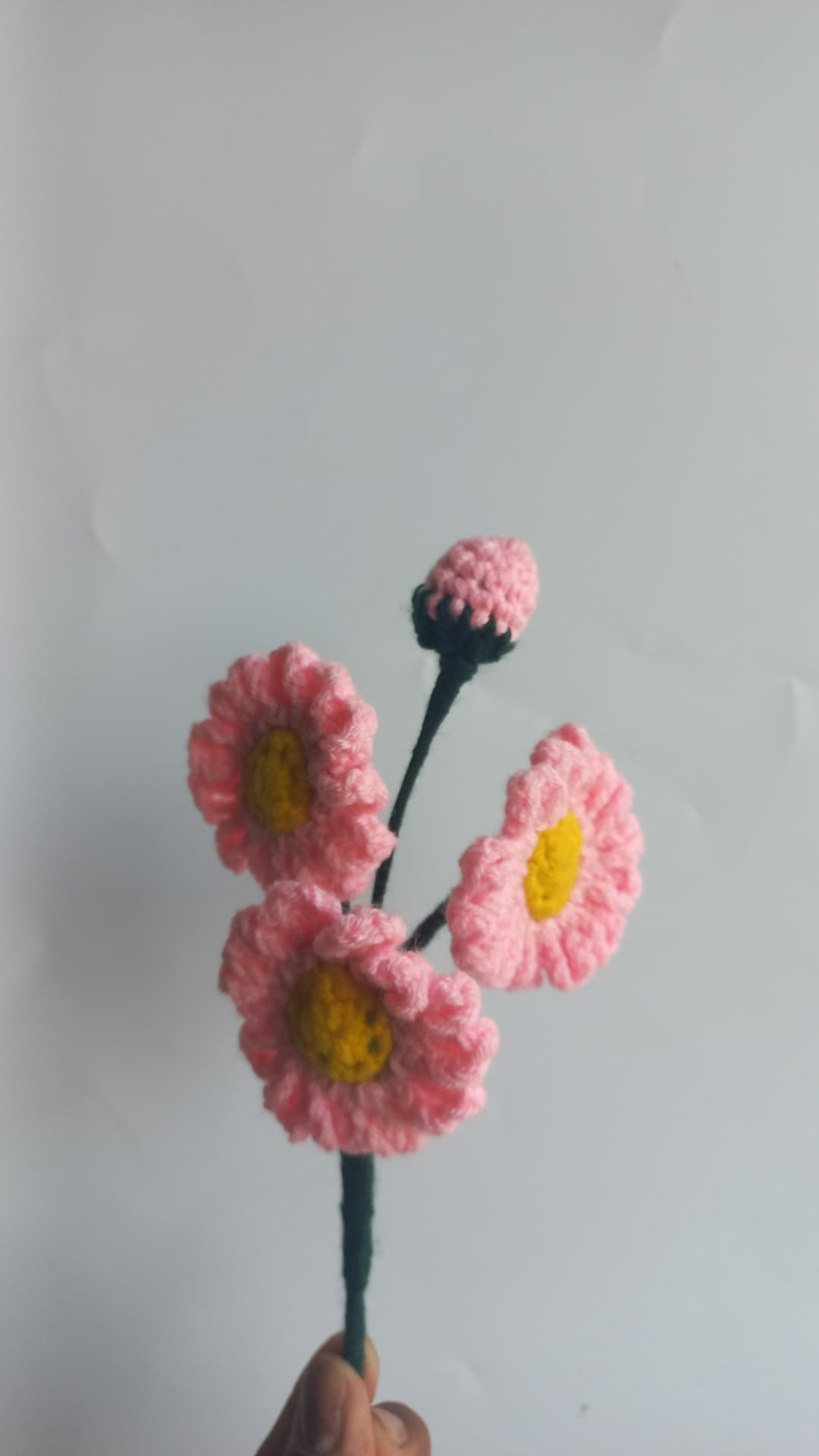 daisy bunch