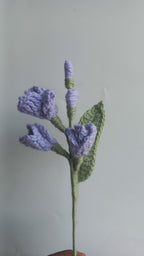 Fressia stem