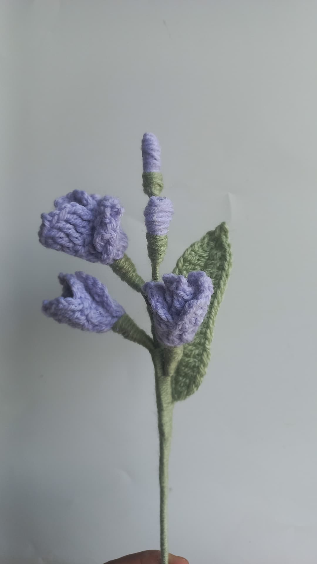 Fressia stem
