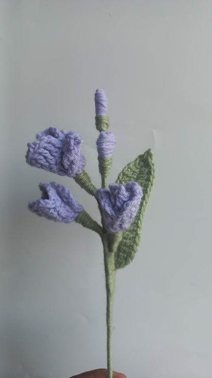 Fressia stem