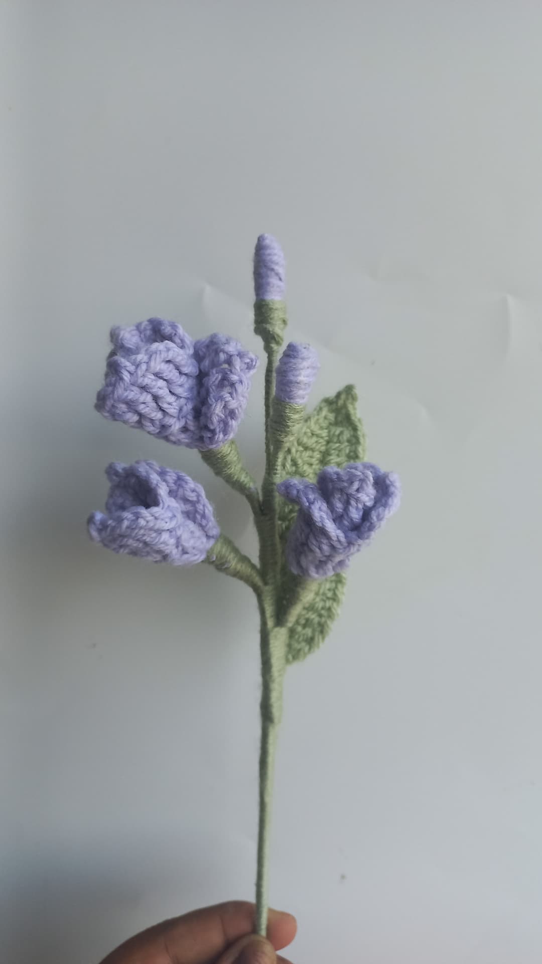 Fressia stem