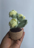 Lemon rose pot