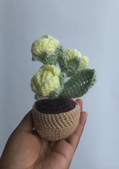 Lemon rose pot